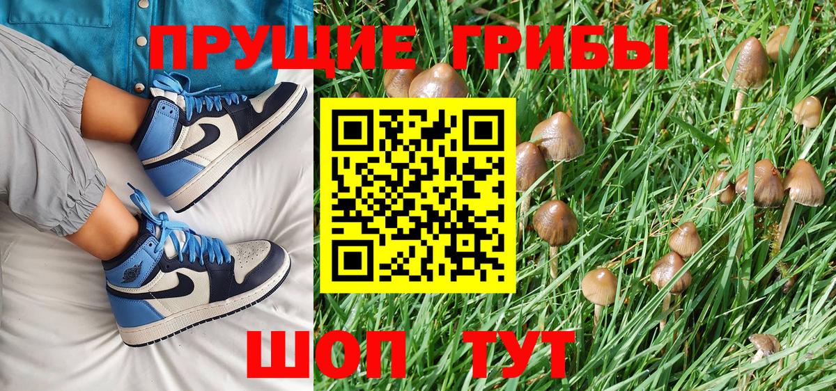 Галлюциногенные грибы GOLDEN TEACHER  Галлюциногенные грибы GOLDEN TEACHER  Кимовск  Вход с VPN 