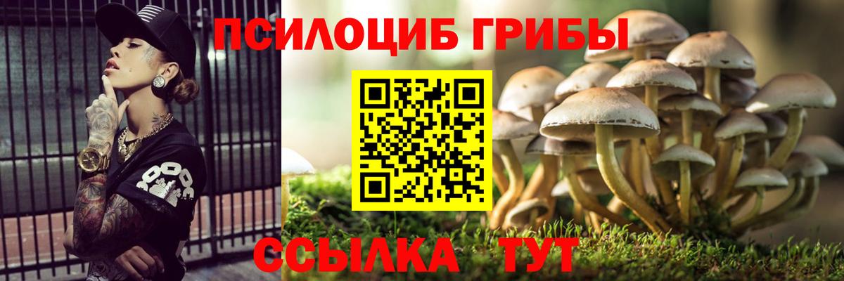 Псилоцибиновые грибы Psilocybe Кимовск